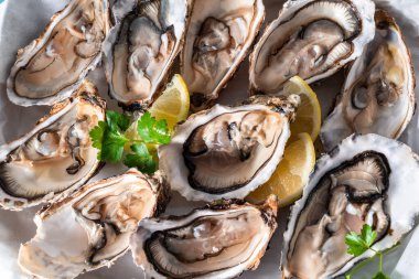 limon ve maydanoz taze istiridye