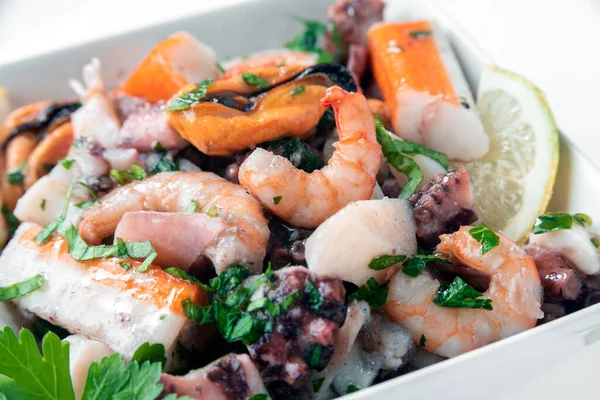 Closeup Lezat Salad Seafood Campuran Masakan Italia — Stok Foto