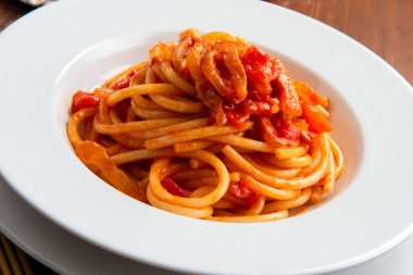 Lezzetli amatriciana bucatini tabağı, domates ve guanciale soslu geleneksel Roma makarnası tarifi, İtalyan yemeği.