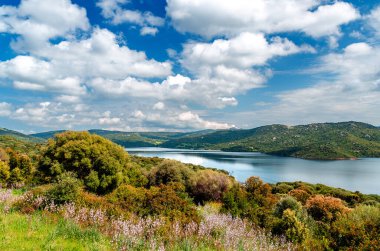 Sardinya, Liscia Gölü manzarası ve çevresindeki kırsal bölge, Gallura, İtalya, Batı Avrupa