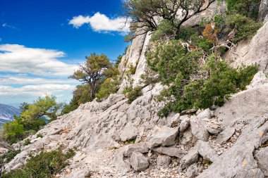 Sardunya, Tiscali arkeolojik alanına giden bir yol, Barbagia dağları, İtalya, Batı Avrupa arasında.