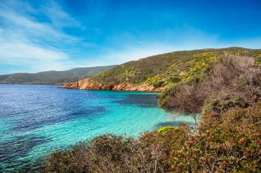 Temiz turkuaz suyu olan kıyı manzarası