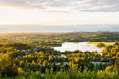 Finlandiya 'da orman ve göl. Yazın Fin doğası. Gün batımında şehre güzel manzara ve hava manzarası. Kuzeyli açık hava manzarası. İskandinavya kırsalında. Şafakta yeşil ağaçlar ve su.
