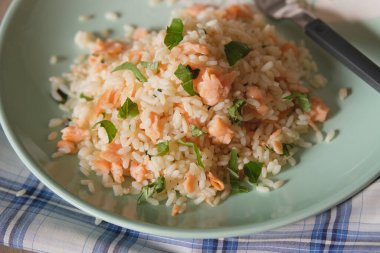 Somon ve sebzeli pilav - yakın plan - İtalyan yemeği