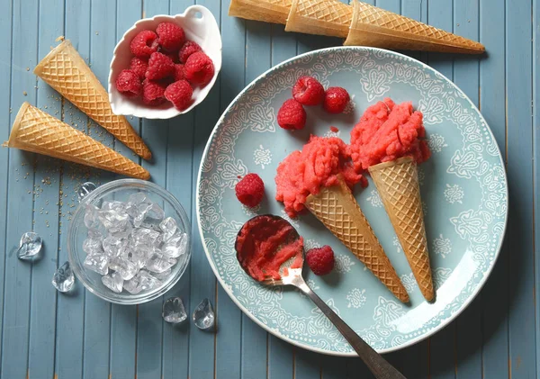 Domácí Malinová Zmrzlina Ovocem Kolem Detailní Záběr — Stock fotografie