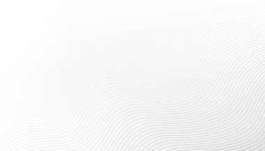Abstract white Background with lines curve, Vector illustration