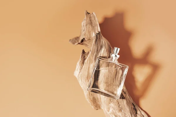 Perfumy Koncepcją Drewnianych Nut Przezroczystą Butelką Perfum Leżącą Pobliżu Starzejącego — Zdjęcie stockowe