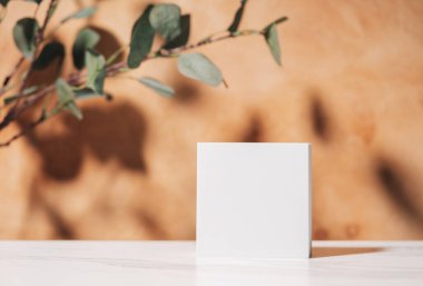 Kozmetik ürün sunumu için doğal boş arkaplan, beyaz kare podyum ve okaliptüs ile yapılmış ambalaj modeli. Asgari doğa sahnesi. Ön görünüm, boşluğu kopyala.