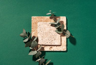 Travertin fayanslar. Koyu yeşil arka planda doğal travertin ve okaliptüs ile yapılan ürün sunumu için boş kare modelleme şablonu. Asgari kompozisyon düzlüğü ve kopyalama alanı vardı. Üst görünüm.