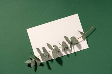 Davetiye modeli, yeşil okaliptüs dalında beyaz kart. Çiçekli selamlaşma boş. Kopyalama alanı olan en küçük sahne. Üst görünüm.