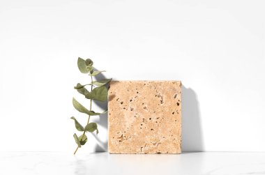 Ürün sunumu ve okaliptüs yaprakları için Travertine taş ekran sahnesi beyaz arka planda. Ön görünüm.