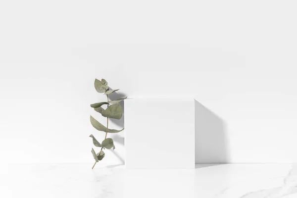 Plantilla Blanca Para Presentación Productos Cosméticos Hecha Con Rama Eucalipto — Foto de Stock