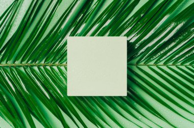 Mockup kare podyum, kare sahne organik güzellik kozmetik ürün sunumu için doğal yeşil palmiye yaprağının üzerinde yatıyor. Üst görünüm.
