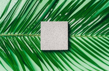 Mockup square podium, organik güzellik kozmetik ürün sunumu için doğal yeşil palmiye yaprağının üzerinde duran sünger taşından yapılmış kare sahne. Üst görünüm.