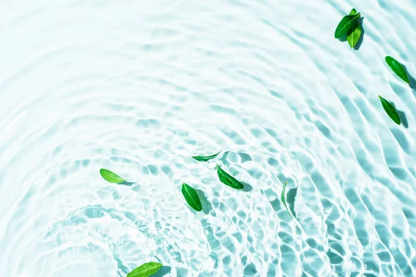 Ηλιόλουστο Σκηνικό Καλλυντικών Φτιαγμένο Διάφανη Επιφάνεια Νερού Και Πράσινα Φύλλα — Φωτογραφία Αρχείου