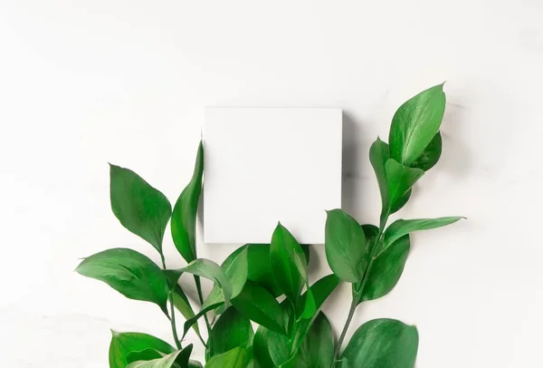 stock image Product presentation scene made with mockup square white podium and fresh green leaves.