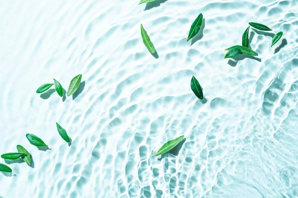 Şeffaf Yüzeyi Yeşil Yapraklarla Yapılmış Güneşli Kozmetik Zemin Dokusu Arkaplanı — Stok fotoğraf
