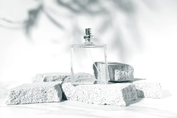 Letnia Koncepcja Zapachu Makietą Przezroczysta Butelka Perfum Stojąca Pumeksach Białym — Zdjęcie stockowe