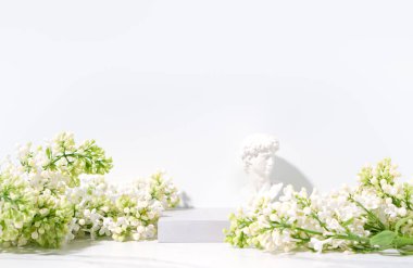 Kozmetik cilt bakım ürünleri sunumu sahnesi ve beyaz arka planda taş podyum ve çiçek dalından yapılmış fotokopi alanı. Stüdyo fotoğrafçılık.