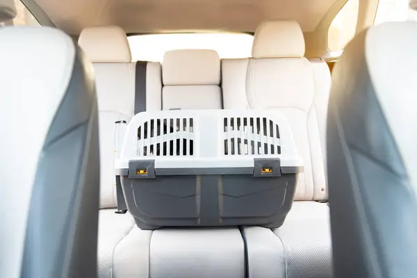 Pet carrier box on back seat of modern car.