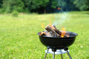 Izgarada alev alev yanan ateş. Çayırda yemek pişirmek..