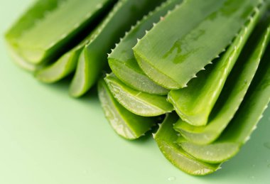 Makro şeffaf aloe vera dilimleri, sulu damlacıklar, doğal güzellik, cilt bakımı ve sağIık kavramları için mükemmel. Aloe Vera sakinleştirici ve iyileştirici özellikleriyle tanınır..