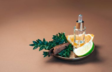 Aromaterapi ve parfüm geçmişi, tarçın çubukları, limon, portakal ve en iyi temel yağlarla süslenmiş, doğanın aromatik lezzetlerdeki cömertliğini kutluyor..