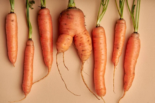 Fresh Carrots Green Leaves Isolated Pastel Orange Background Vegetable Food — Stock Photo, Image