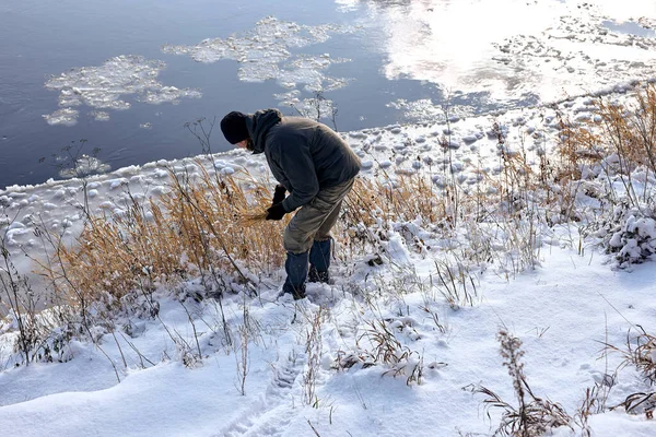 man in warm clothes walking in snowy nature in winter, have rest, enjoy active lifestyle. handsome guy collect herbs from snowy fields. at frozen winter day. alone, outdoors. bushcraft, hike, travel