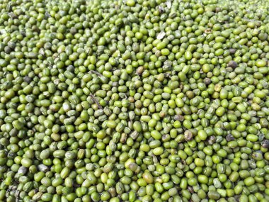 Fasulye, kuru fasulye veya fasulye arkaplanı, protein açısından zengin vejetaryen yiyecekler, sağlıklı gıda kavramı..