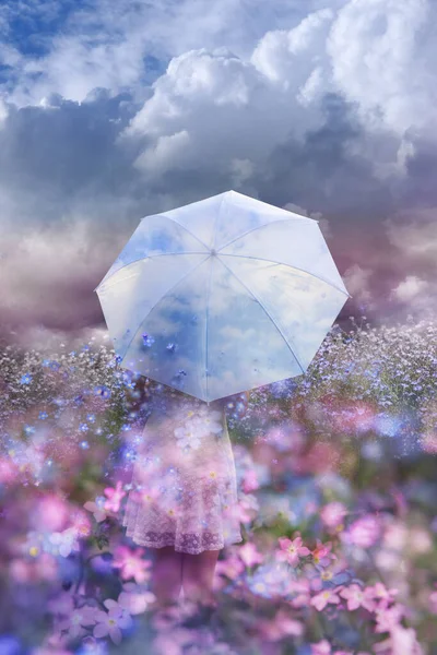 一个女人站在一片花田里 迎着一阵花儿的微风 飘荡在伞下 好像是蓝天似的 — 图库照片