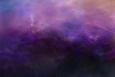 Atmosferik sahne. Bir kadın, Iris 'in çiçek tomurcuklarının soyut ışık şekillerini seçiyor..