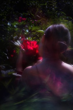 Önünde kırmızı şakayık olan bir kadın, arkadan görülüyor. Sırtında yumuşak bir yansıma var, kırmızı bir çiçek gibi..