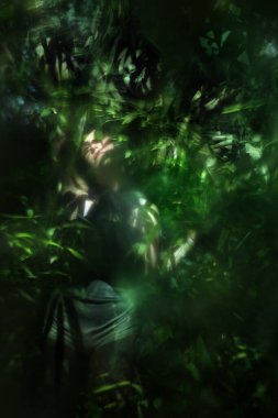 Tropikal kamış bitkileri arasında poz veren genç bir modelin yumuşak bulanık ifadesi.