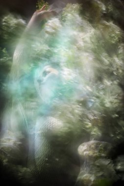 Hareketli beyaz peçeli, boho elbiseli bir kadın dansçının yoğun görüntüsü, çiçekleri bulanıklaştırdı..