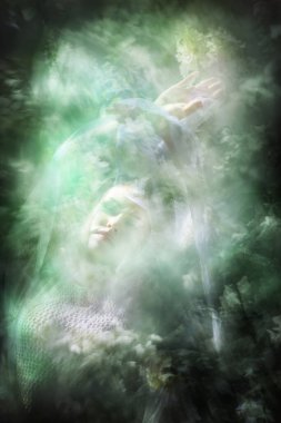 Genç bir bayan dansçı kollarını kavuştururken şeffaf beyaz bir duvak tutuyor rüya gibi Hortensiya çiçek dokularıyla.