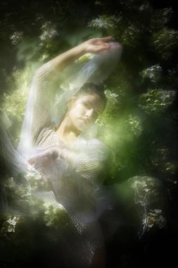 Zarif ve zarif bir kadın, şeffaf beyaz bir peçeyle parlayan bir sis içinde poz veriyor, kısmen arkasında bir Hortensia çalısı örtüyor..