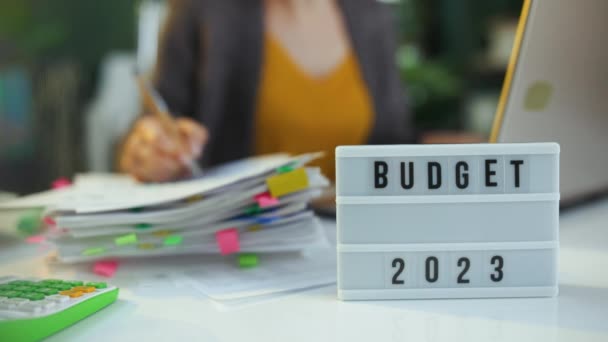 Presupuesto Fiscal Time Accountant Mujer Que Trabaja Segundo Plano — Vídeo de stock