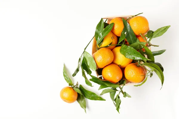 Plat Hiver Posé Avec Des Mandarines — Photo