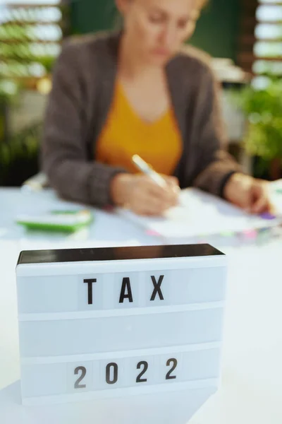 Tiempo Impuestos Contable Mujer Que Trabaja Con Documentos Oficina — Foto de Stock