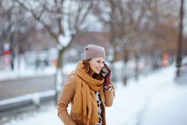Kahverengi Şapkalı Deve Ceketli Eldivenli Şık Bir Kadın Kışın Şehrin — Stok fotoğraf