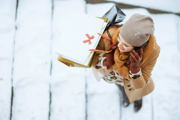 去年冬天 穿着棕色帽子 头戴围巾 头戴手套 头戴购物袋 开着智能手机 站在城外微笑的现代女性的上图 — 图库照片