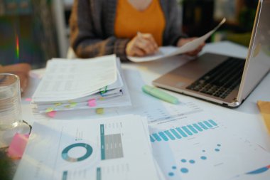 Belgeleri ve bilgisayarı olan muhasebeci kadın çalışıyor..