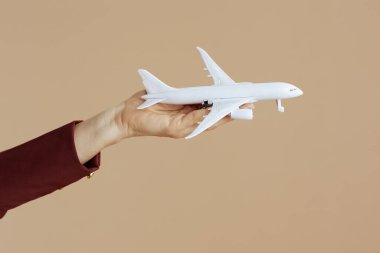 Mutlu modern uçuş görevlisi kadın bej arka planda küçük bir uçakla.