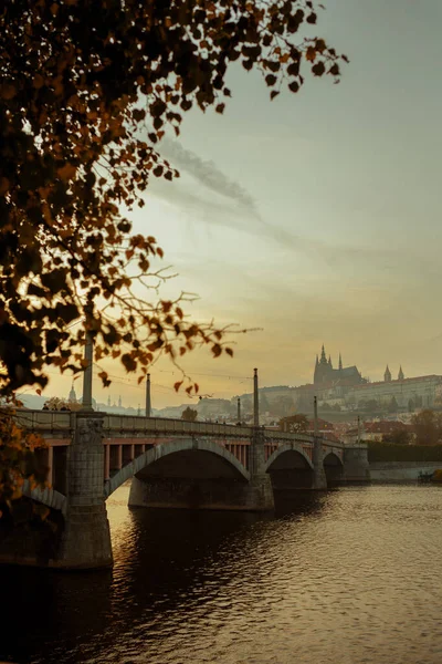 在捷克共和国布拉格 黄昏时分 有Vltava河和St Vitus主教座堂的风景从树叶中喷涌而出 — 图库照片