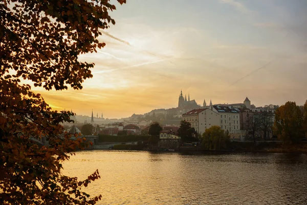 ヴルタヴァ川と聖ヴィート大聖堂の風景日没は チェコ共和国プラハの秋に葉を通して撮影 — ストック写真