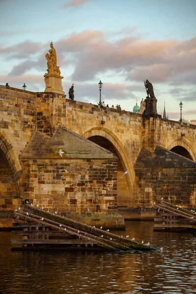 Paysage Avec Karlov Soirée Automne Prague République Tchèque — Photo