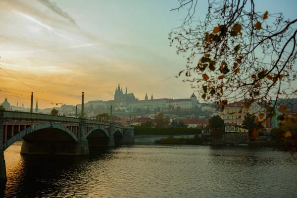 ヴルタヴァ川と聖ヴィート大聖堂の風景日没は チェコ共和国プラハの秋に葉を通して撮影 — ストック写真