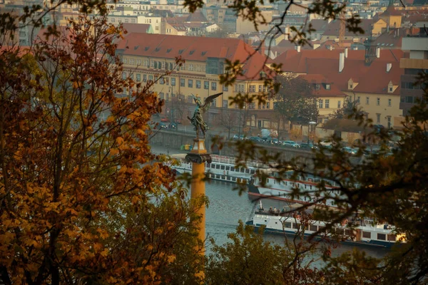 夜のヴルタヴァ川とボートの風景は チェコ共和国プラハの秋に葉を通して撮影 — ストック写真