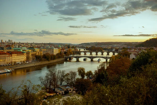 在捷克共和国布拉格 黄昏时分 有Vltava河和查尔斯桥的风景在树叶间穿梭流淌 — 图库照片